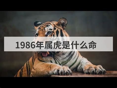 1986屬虎幸運色